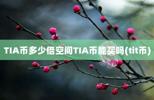 TIA币多少倍空间TIA币能买吗(tit币)