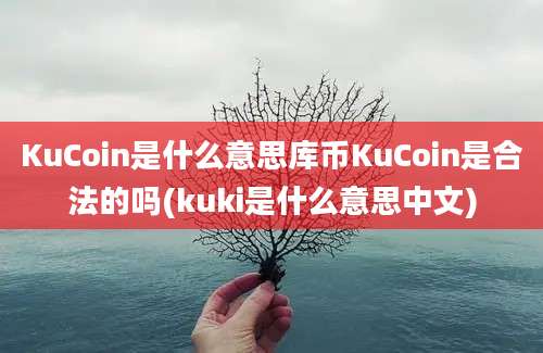 KuCoin是什么意思库币KuCoin是合法的吗(kuki是什么意思中文)