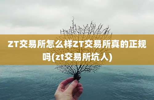 ZT交易所怎么样ZT交易所真的正规吗(zt交易所坑人)