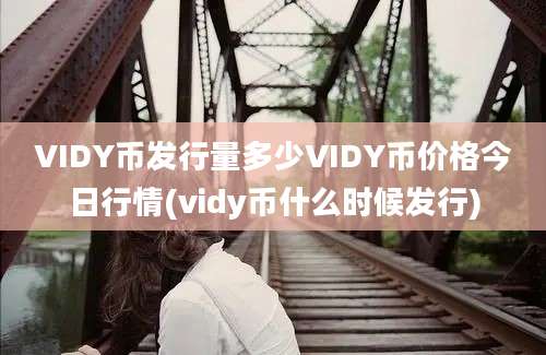 VIDY币发行量多少VIDY币价格今日行情(vidy币什么时候发行)