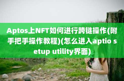 Aptos上NFT如何进行跨链操作(附手把手操作教程)(怎么进入aptio setup utility界面)