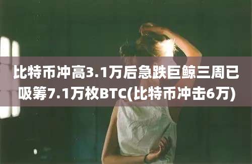 比特币冲高3.1万后急跌巨鲸三周已吸筹7.1万枚BTC(比特币冲击6万)