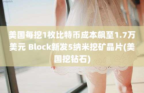 美国每挖1枚比特币成本飙至1.7万美元 Block新发5纳米挖矿晶片(美国挖钻石)