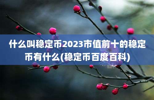 什么叫稳定币2023市值前十的稳定币有什么(稳定币百度百科)