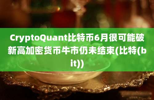 CryptoQuant比特币6月很可能破新高加密货币牛市仍未结束(比特(bit))