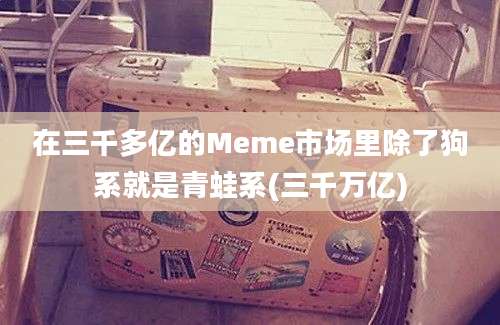 在三千多亿的Meme市场里除了狗系就是青蛙系(三千万亿)