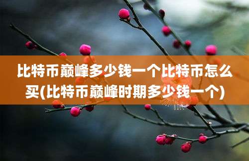 比特币巅峰多少钱一个比特币怎么买(比特币巅峰时期多少钱一个)