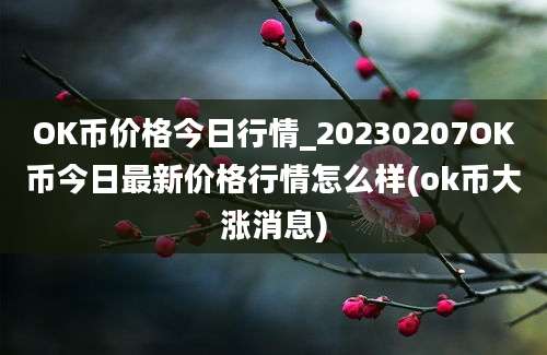 OK币价格今日行情_20230207OK币今日最新价格行情怎么样(ok币大涨消息)