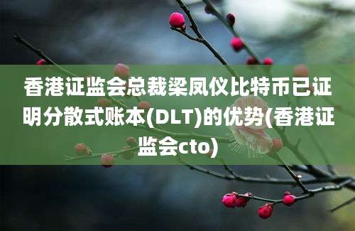 香港证监会总裁梁凤仪比特币已证明分散式账本(DLT)的优势(香港证监会cto)