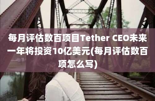 每月评估数百项目Tether CEO未来一年将投资10亿美元(每月评估数百项怎么写)