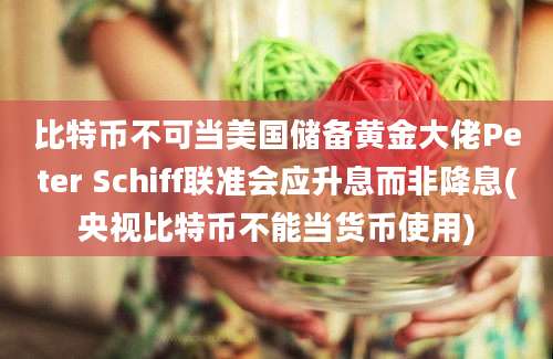 比特币不可当美国储备黄金大佬Peter Schiff联准会应升息而非降息(央视比特币不能当货币使用)