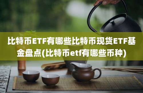 比特币ETF有哪些比特币现货ETF基金盘点(比特币etf有哪些币种)