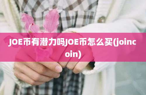 JOE币有潜力吗JOE币怎么买(joincoin)