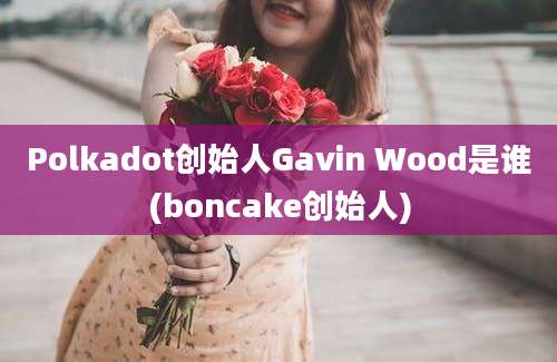 Polkadot创始人Gavin Wood是谁(boncake创始人)