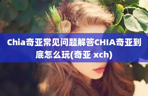 Chia奇亚常见问题解答CHIA奇亚到底怎么玩(奇亚 xch)