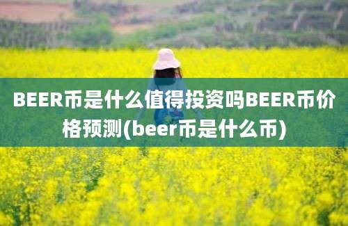 BEER币是什么值得投资吗BEER币价格预测(beer币是什么币)