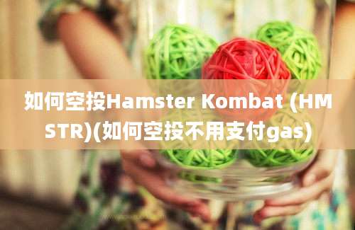 如何空投Hamster Kombat (HMSTR)(如何空投不用支付gas)