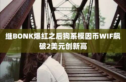 继BONK爆红之后狗系模因币WIF飙破2美元创新高