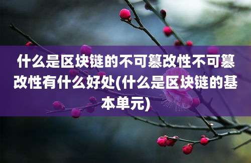 什么是区块链的不可篡改性不可篡改性有什么好处(什么是区块链的基本单元)