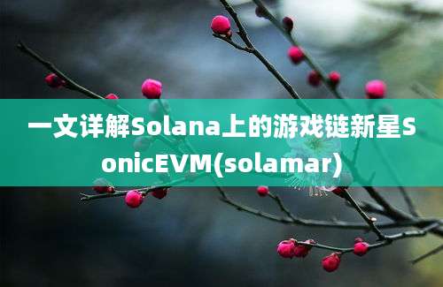 一文详解Solana上的游戏链新星SonicEVM(solamar)