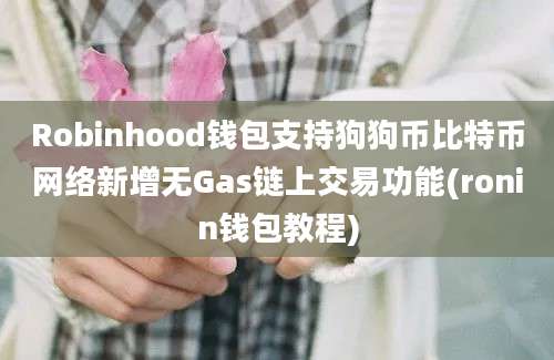 Robinhood钱包支持狗狗币比特币网络新增无Gas链上交易功能(ronin钱包教程)