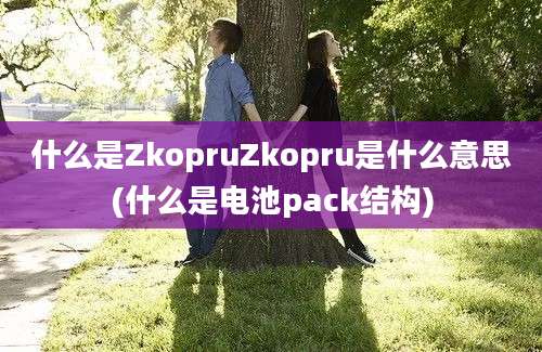 什么是ZkopruZkopru是什么意思(什么是电池pack结构)