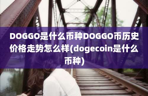 DOGGO是什么币种DOGGO币历史价格走势怎么样(dogecoin是什么币种)