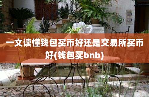 一文读懂钱包买币好还是交易所买币好(钱包买bnb)