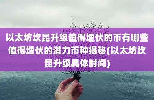 以太坊坎昆升级值得埋伏的币有哪些值得埋伏的潜力币种揭秘(以太坊坎昆升级具体时间)