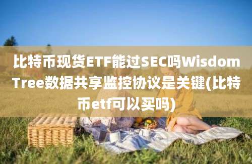 比特币现货ETF能过SEC吗WisdomTree数据共享监控协议是关键(比特币etf可以买吗)