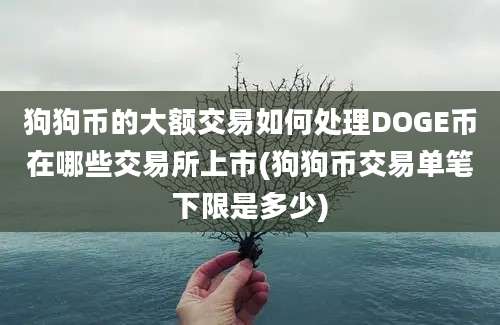 狗狗币的大额交易如何处理DOGE币在哪些交易所上市(狗狗币交易单笔下限是多少)