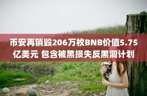 币安再销毁206万枚BNB价值5.75亿美元 包含被黑损失反黑洞计划