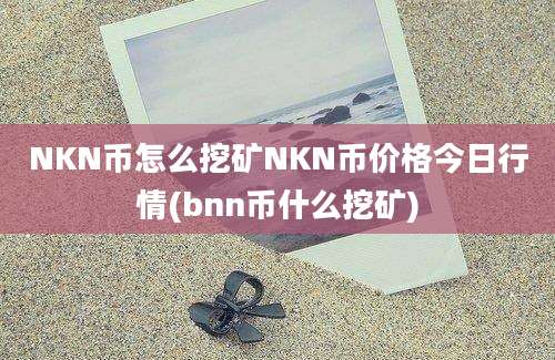 NKN币怎么挖矿NKN币价格今日行情(bnn币什么挖矿)