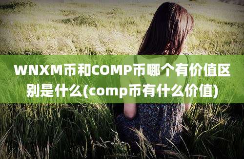 WNXM币和COMP币哪个有价值区别是什么(comp币有什么价值)