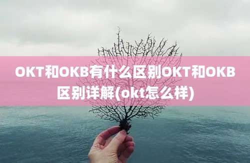 OKT和OKB有什么区别OKT和OKB区别详解(okt怎么样)