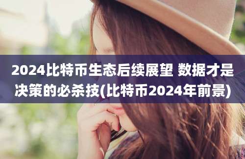 2024比特币生态后续展望 数据才是决策的必杀技(比特币2024年前景)