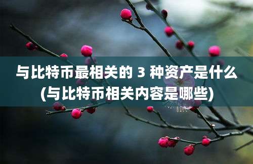 与比特币最相关的 3 种资产是什么(与比特币相关内容是哪些)