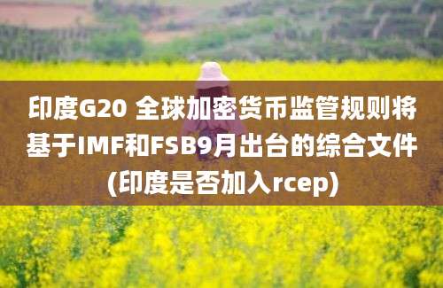 印度G20 全球加密货币监管规则将基于IMF和FSB9月出台的综合文件(印度是否加入rcep)