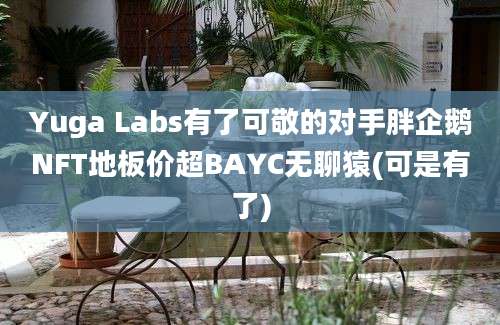 Yuga Labs有了可敬的对手胖企鹅NFT地板价超BAYC无聊猿(可是有了)