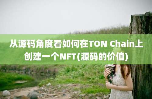 从源码角度看如何在TON Chain上创建一个NFT(源码的价值)