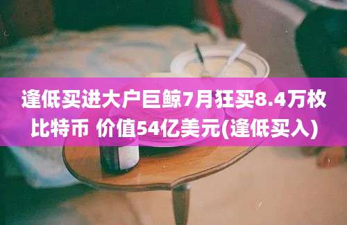 逢低买进大户巨鲸7月狂买8.4万枚比特币 价值54亿美元(逢低买入)