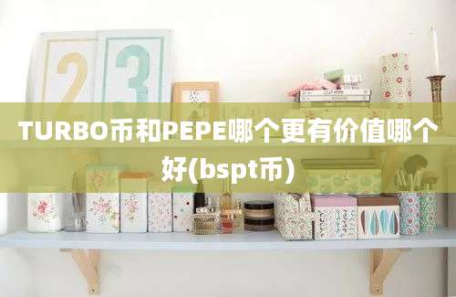 TURBO币和PEPE哪个更有价值哪个好(bspt币)