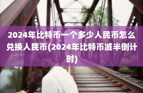 2024年比特币一个多少人民币怎么兑换人民币(2024年比特币减半倒计时)