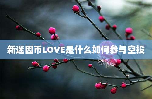 新迷因币LOVE是什么如何参与空投