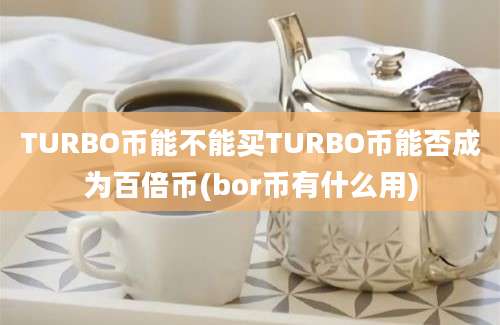 TURBO币能不能买TURBO币能否成为百倍币(bor币有什么用)