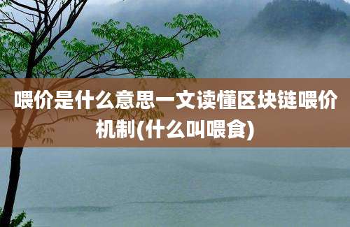 喂价是什么意思一文读懂区块链喂价机制(什么叫喂食)