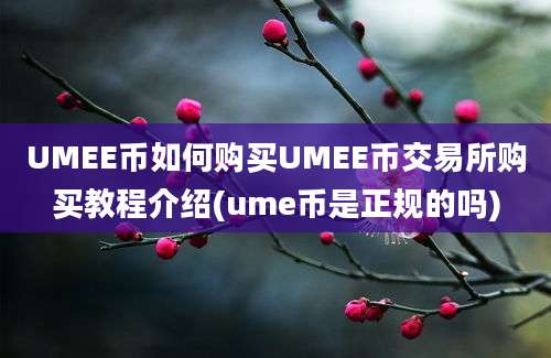 UMEE币如何购买UMEE币交易所购买教程介绍(ume币是正规的吗)