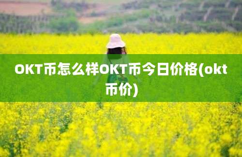 OKT币怎么样OKT币今日价格(okt币价)