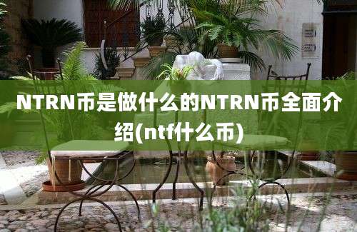 NTRN币是做什么的NTRN币全面介绍(ntf什么币)