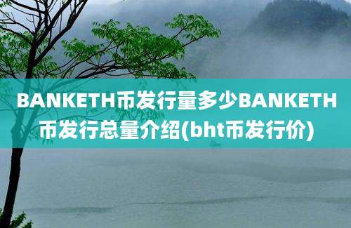 BANKETH币发行量多少BANKETH币发行总量介绍(bht币发行价)